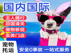 呼和浩特白塔机场快递国际宠物托运 【国